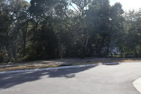 151 Auger Shell Court Surf City NC 28445