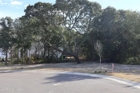 151 Auger Shell Court Surf City NC 28445
