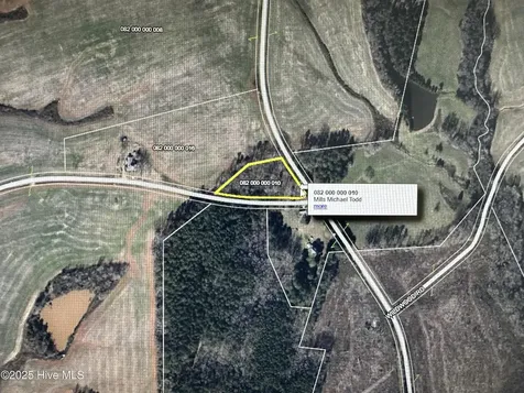 Tbd Hough Road Mount Croghan SC 29727