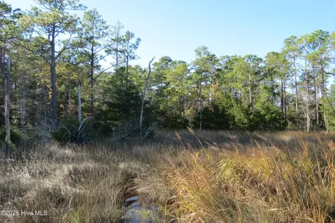 375 Tar Creek Road Oriental NC 28571