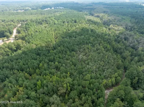 Tbd Holly Lane Laurinburg NC 28352