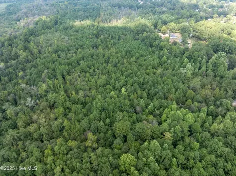 Tbd Holly Lane Laurinburg NC 28352