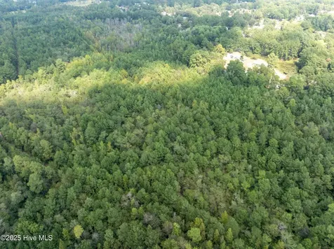 Tbd Holly Lane Laurinburg NC 28352