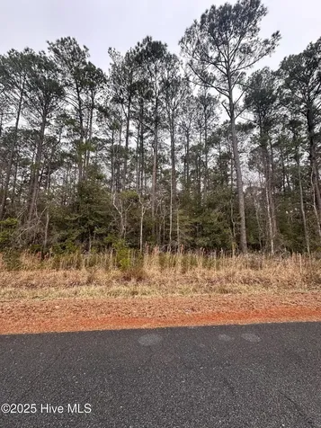 159 Dogwood Trail SW Supply NC 28462