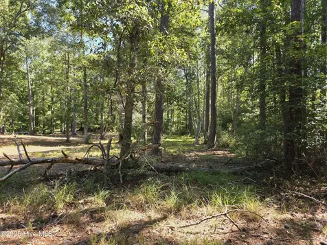 828 Loblolly Drive SW Shallotte NC 28470