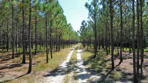 250 Long Bluff Road Currie NC 28435