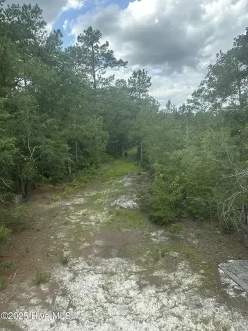 250 Long Bluff Road Currie NC 28435