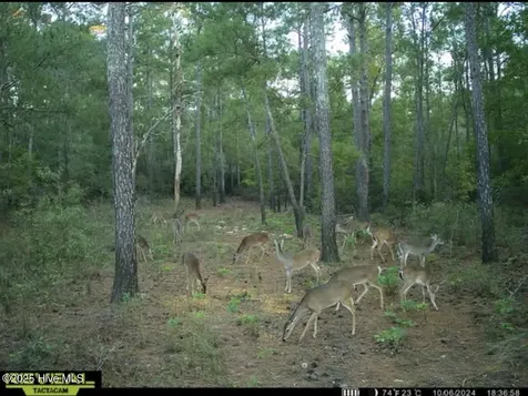 250 Long Bluff Road Currie NC 28435