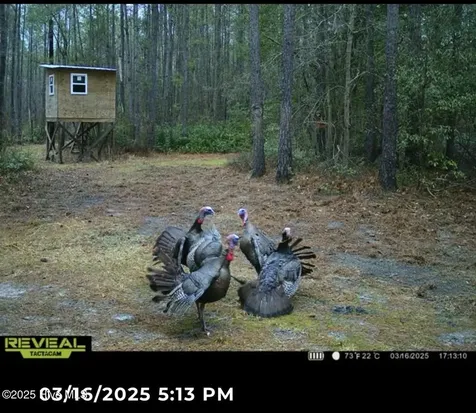 250 Long Bluff Road Currie NC 28435
