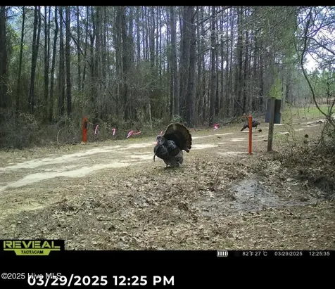 250 Long Bluff Road Currie NC 28435