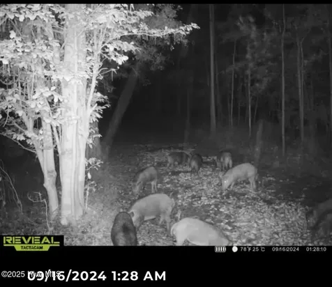 250 Long Bluff Road Currie NC 28435