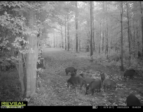 250 Long Bluff Road Currie NC 28435