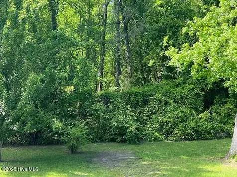 154 Rosslyn Chapel Lane Cameron NC 28326