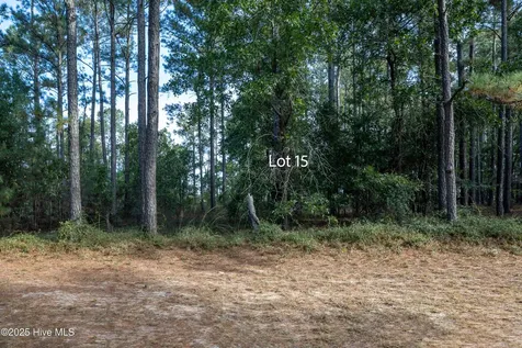 15 Old Tom Morris Road Garland NC 28441
