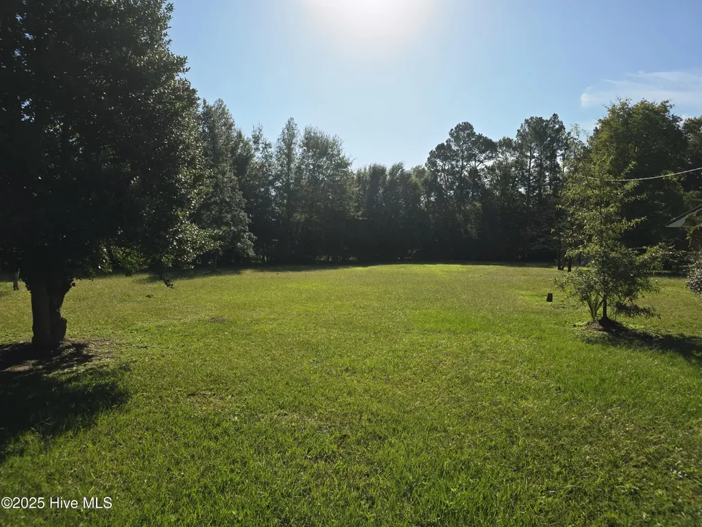 205 Bruce Street Fair Bluff NC 28439