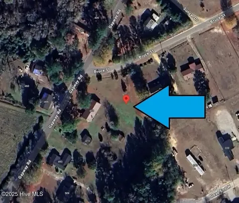 205 Bruce Street Fair Bluff NC 28439