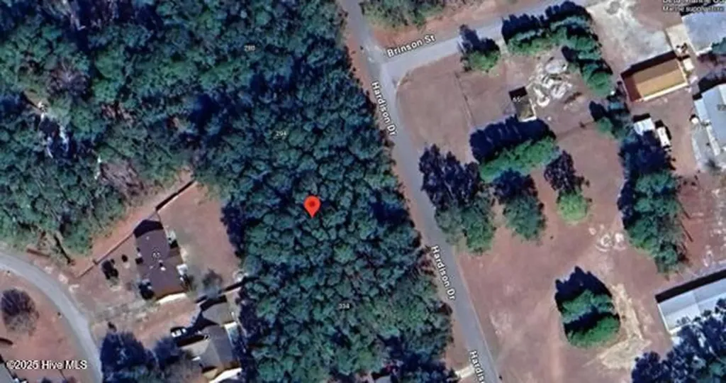 320 Hardison Drive Minnesott Beach NC 28510