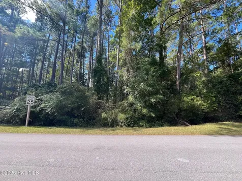 320 Hardison Drive Minnesott Beach NC 28510
