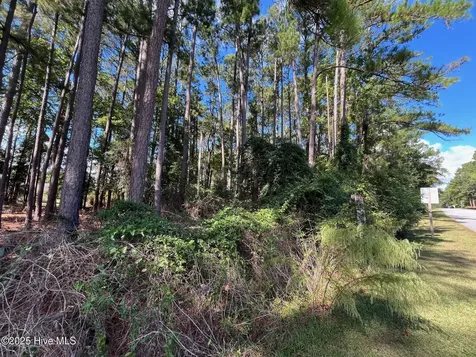 320 Hardison Drive Minnesott Beach NC 28510
