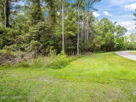 238 Mill Creek Road Stella NC 28582