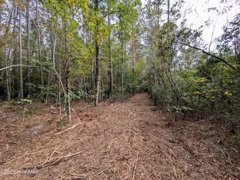 238 Mill Creek Road Stella NC 28582