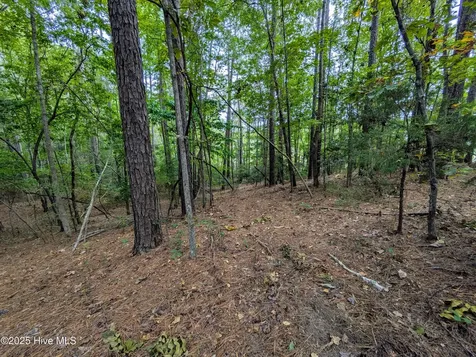 238 Mill Creek Road Stella NC 28582