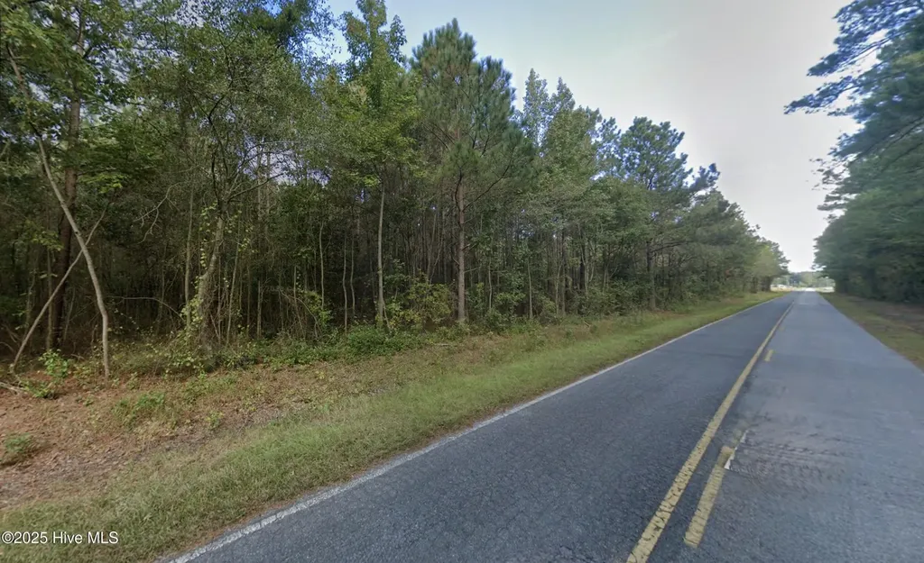 0 Radford Road Princeton NC 27569