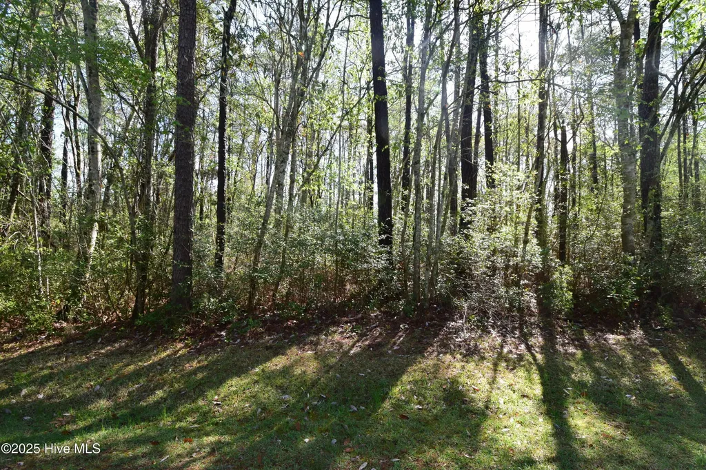 902 River Reach Court New Bern NC 28560