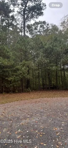 14 Broad River Drive Hertford NC 27944