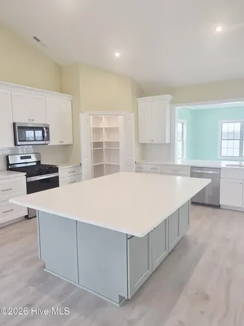 157 Big Hammock Point Road Sneads Ferry NC 28460