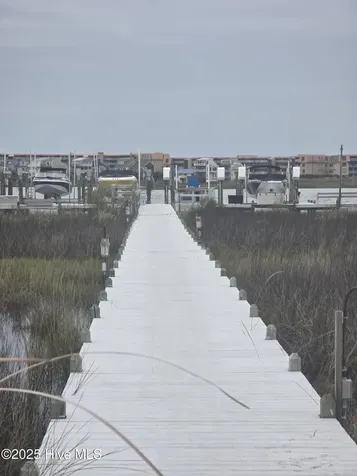 157 Big Hammock Point Road Sneads Ferry NC 28460