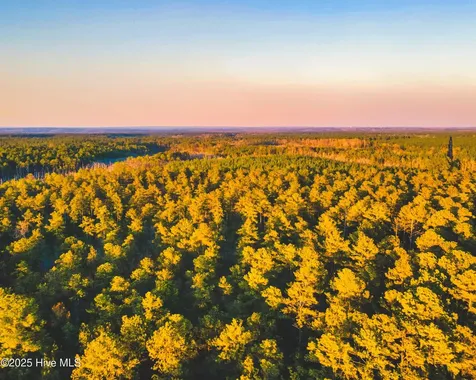 Tract 7 Peach Orchard Road Wagram NC 28396