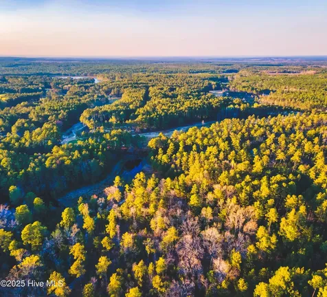 Trt 6 Peach Orchard Road Wagram NC 28396