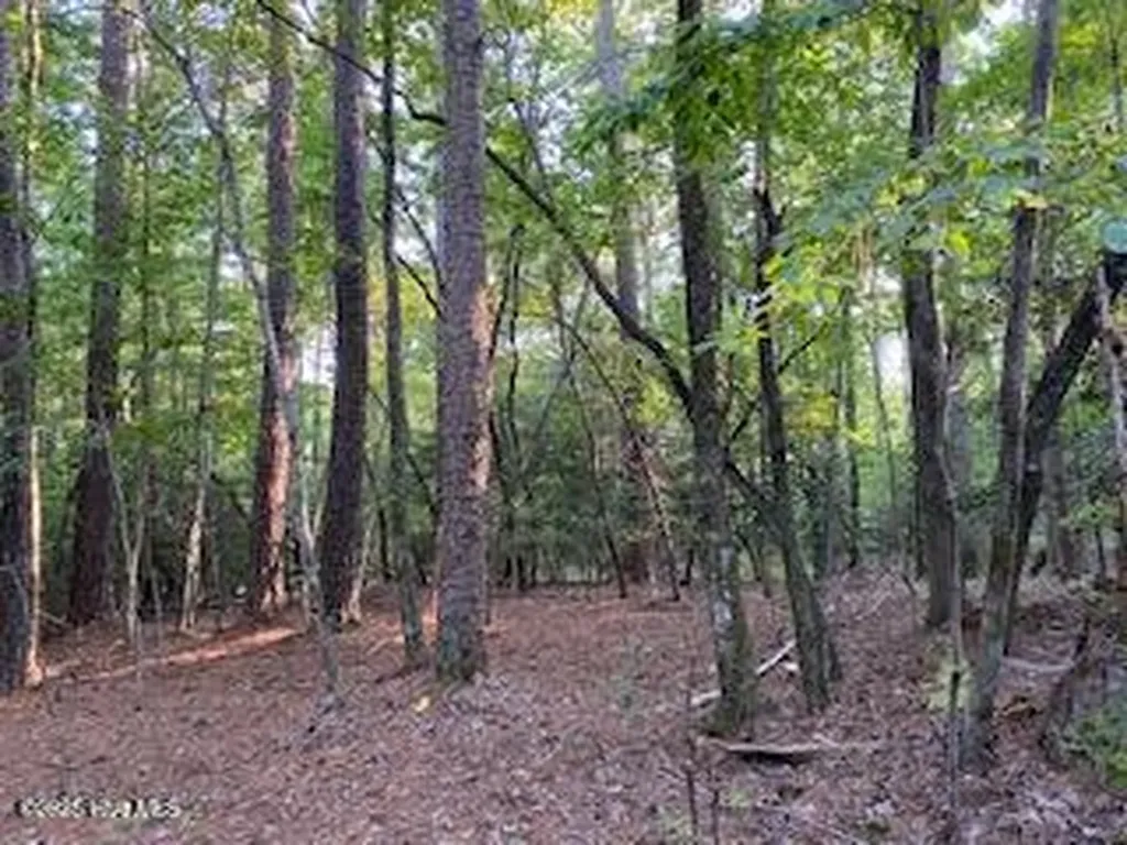 91A Palomino Road Carthage NC 28327