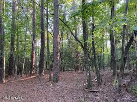 91A Palomino Road Carthage NC 28327