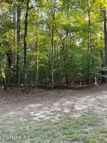 91A Palomino Road Carthage NC 28327