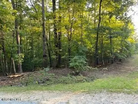91A Palomino Road Carthage NC 28327