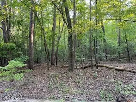 91A Palomino Road Carthage NC 28327
