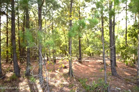 1035 Mill Road Jackson Springs NC 27281