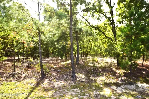 1035 Mill Road Jackson Springs NC 27281