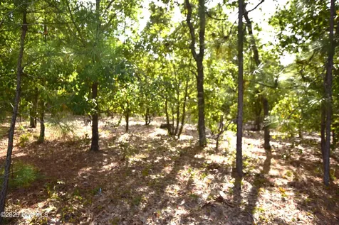 1035 Mill Road Jackson Springs NC 27281