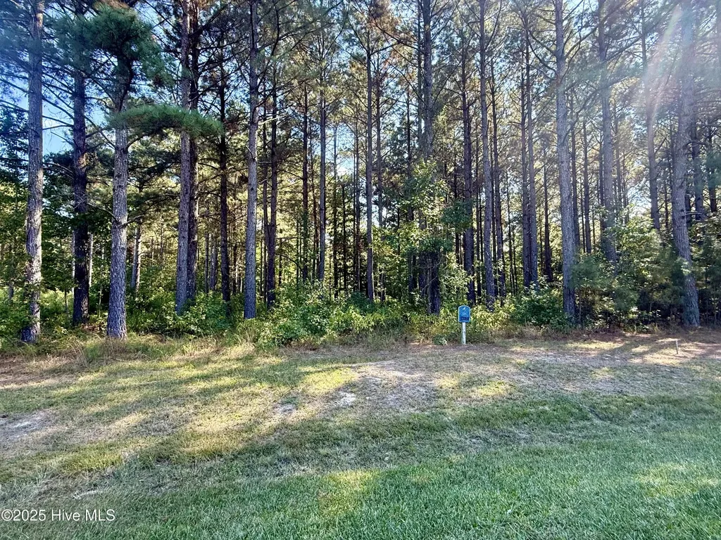 408 Plumtree Circle Edenton NC 27932