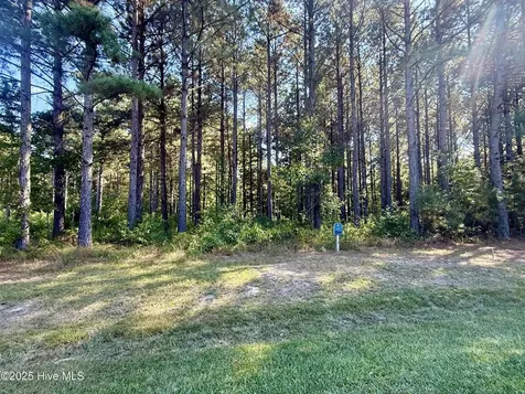 408 Plumtree Circle Edenton NC 27932
