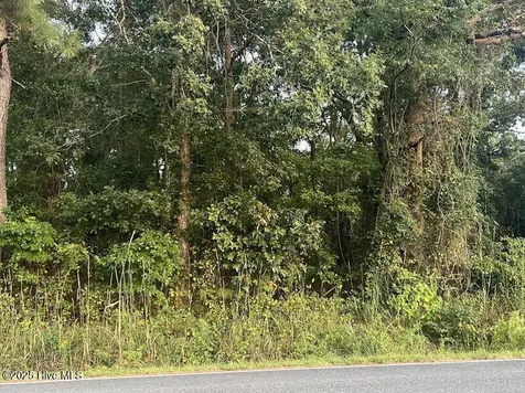 4595 Mercer Mill Brown Marsh Road Clarkton NC 28433