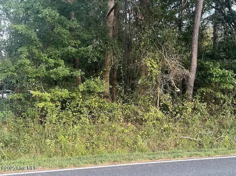4595 Mercer Mill Brown Marsh Road Clarkton NC 28433