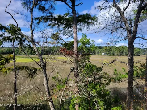 2656 Mill Pond Court SE Bolivia NC 28422