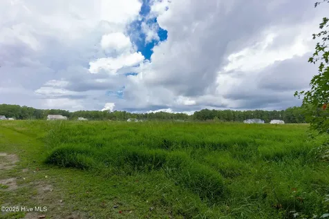 341 W Burton Farm Drive Minnesott Beach NC 28510