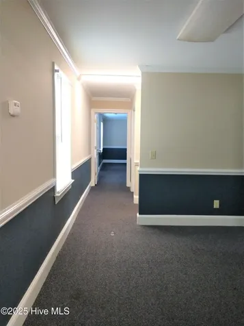 823 Evans Street Greenville NC 27834