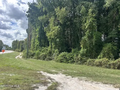 Tbd Nc 74 Highway W Lumberton NC 28360