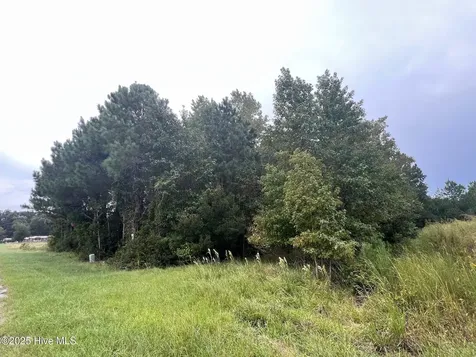 137 Days Landing Road Merritt NC 28556
